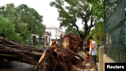 FILE - People stand next to a tree uprooted by strong winds after Hurricane Rafael knocked out power to the country, leaving 10 million people without power, in Havana, Cuba, on Nov. 7 of 2024.