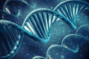 DNA: the secret code of life