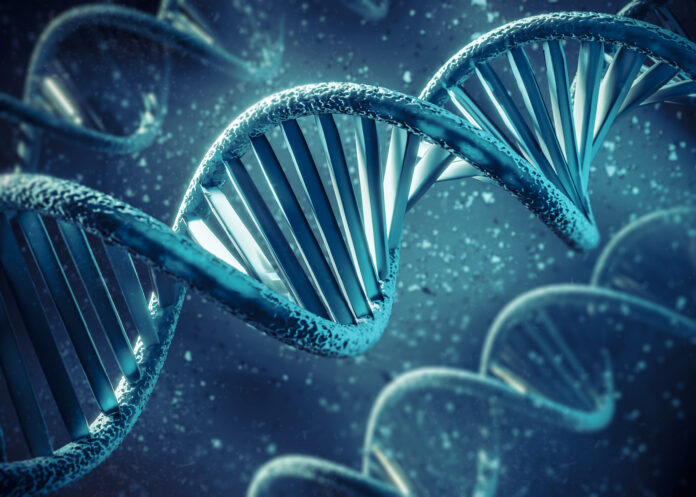 DNA: the secret code of life