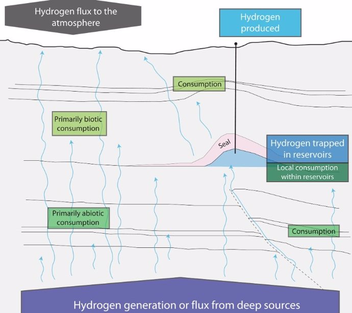 Conceptual model of geological sources of hydrogen