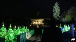 Illuminated Christmas trees on the Ellipse near the White House following a lighting ceremony in Washington, Thursday, Dec. 5, 2024. (AP Photo/Jacquelyn Martin)