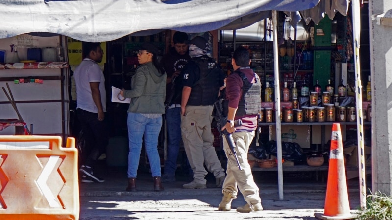 Eight dead in mass shooting in central Mexico town ravaged by cartels