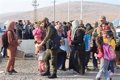 Greece stops processing all asylum applications from Syrian citizens