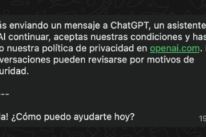 Chatgpt Message 1