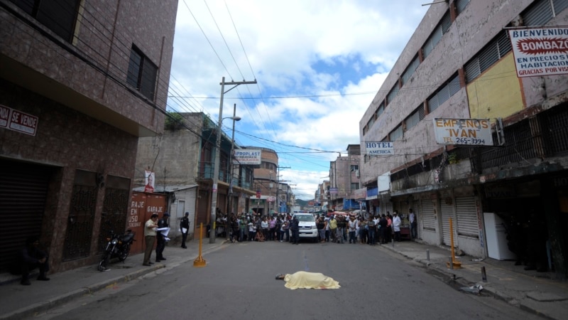 Latin America and the Caribbean launch a regional alliance against organized crime