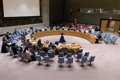 The UN Security Council gives the 'green light' to the new stabilization mission in Somalia