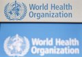 The WHO links the disease of unknown origin in the DRC to a respiratory virus aggravated by malaria and malnutrition