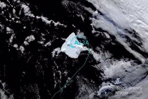 Megaiceberg A23a escapes after months in ocean vortex