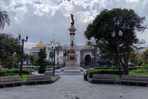 The state of exception in Ecuador must comply with the principles of legality, necessity and proportionality