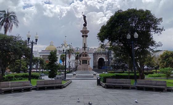 The state of exception in Ecuador must comply with the principles of legality, necessity and proportionality