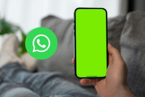 WhatsApp green screen: why this error occurs and how to easily fix it