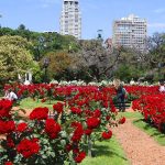 Angelo Calcaterra: “Buenos Aires parks combine landscape design and urban architecture”