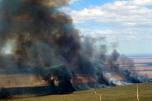 Fire in the natural park of Argentine Patagonia advances and has already destroyed more than 3,000 hectares