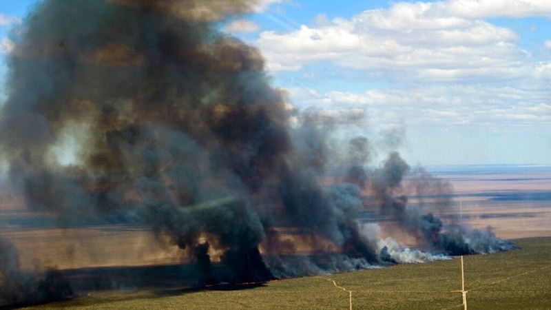 Fire in the natural park of Argentine Patagonia advances and has already destroyed more than 3,000 hectares