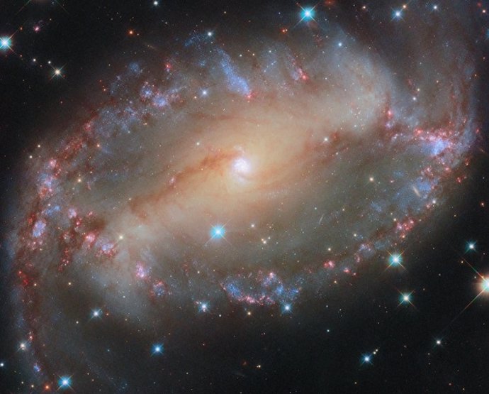 This image from the NASA/ESA Hubble Space Telescope shows the spiral galaxy NGC 2566.