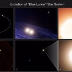 Evolution of a 'blue marauder' star system