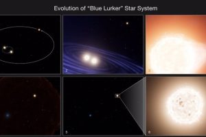 Evolution of a 'blue marauder' star system