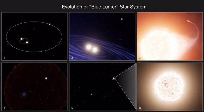 Evolution of a 'blue marauder' star system