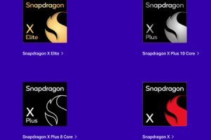 Snapdragon