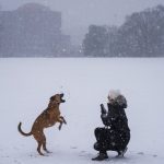 Strong winter storm causes flight delays and school closures in the southern US