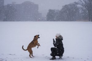 Strong winter storm causes flight delays and school closures in the southern US