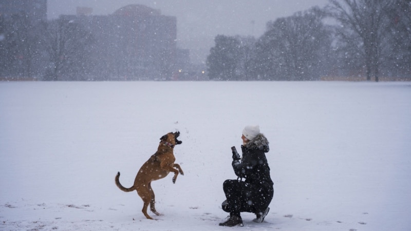 Strong winter storm causes flight delays and school closures in the southern US