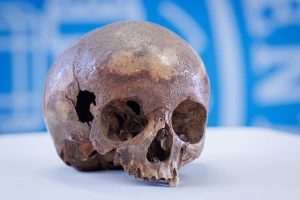 The skull of the octagon of Ephesus.