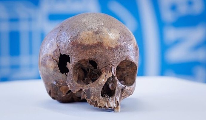 The skull of the octagon of Ephesus.