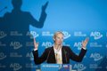 Weidel is chosen as AfD's candidate for chancellor and promises "re-emigration" and ending gender studies