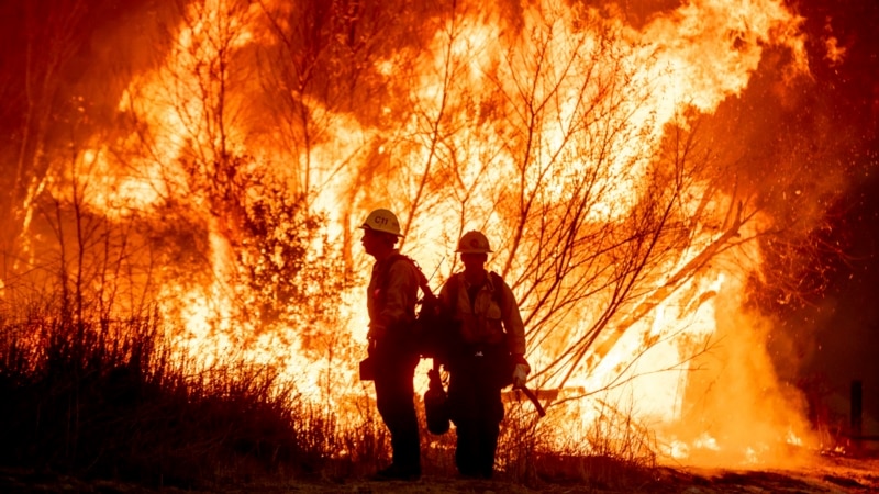 What caused the deadly fires in California? Researchers study several possibilities