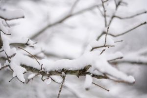 Winter storm breaks annual snow record in several southern US states