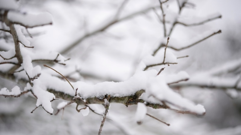 Winter storm breaks annual snow record in several southern US states