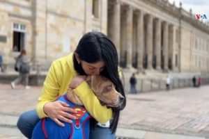 Inspired by a dog victim of cruelty, Colombia increases penalties for animal abuse