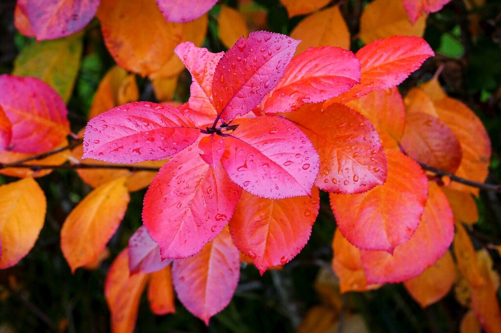 UK autumn forecast: El Niño brings wetter, warmer weather