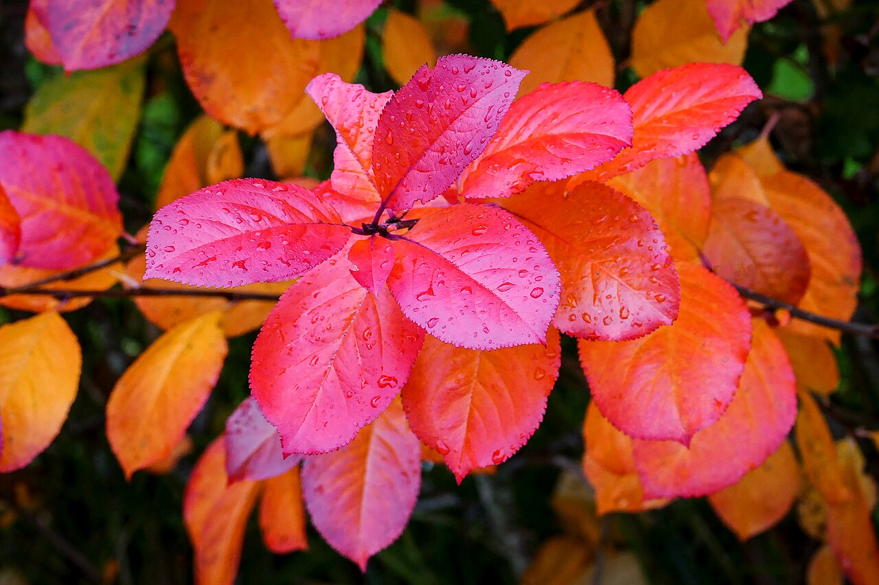 UK autumn forecast: El Niño brings wetter, warmer weather